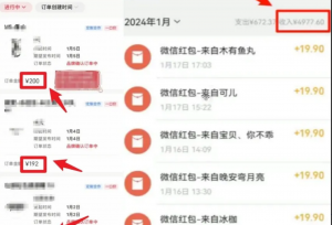 在小红书上卖养生资料,月入5万+,多种变现方式一本万利的小生意-塔拉科技社