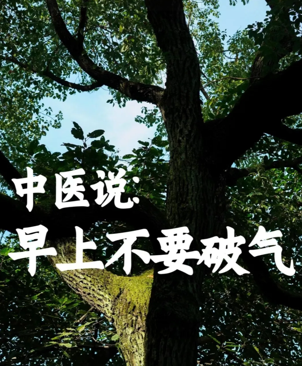 图片[11]-在小红书上卖养生资料，月入5万+，多种变现方式一本万利的小生意-塔拉科技社