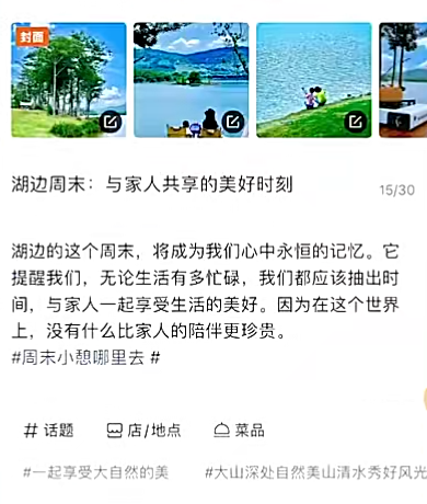 图片[10]-2024年风口项目，大众点评创作者分成计划，批量生成，每月轻松8000-塔拉科技社