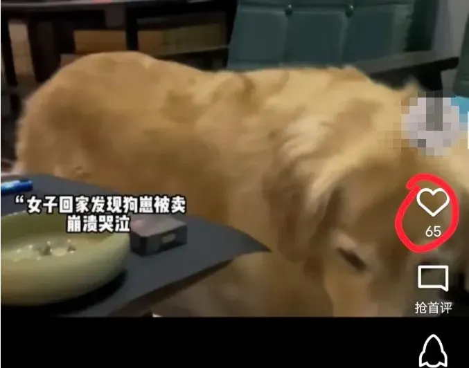 图片[7]-QQ短视频无脑搬运，蓝海赛道，保姆级教程-塔拉科技社