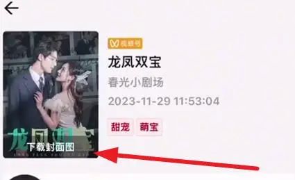 图片[14]-视频号短剧分发项目，保姆级教程拆解，一天轻松搬运收入几百+-塔拉科技社