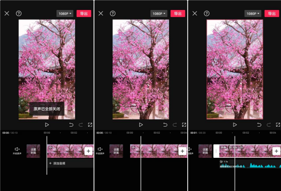 图片[20]-支付宝创作分成计划，从0-1保姆级教程分享-塔拉科技社